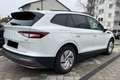 Skoda Enyaq iV 50 - thumbnail 4
