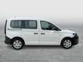 Volkswagen Caddy Kombi TDI Weiß - thumbnail 6