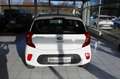 Kia Picanto Edition 5-TÜRIG KLIMA 1.HAND! Blanc - thumbnail 5