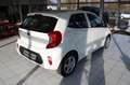 Kia Picanto Edition 5-TÜRIG KLIMA 1.HAND! Blanc - thumbnail 4