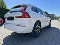Volvo XC60 B4 Benzin Momentum Pro 18"+AHK+PANO+360° Blanc - thumbnail 4