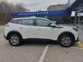 Peugeot 2008 Active PT 100 Weiß - thumbnail 13