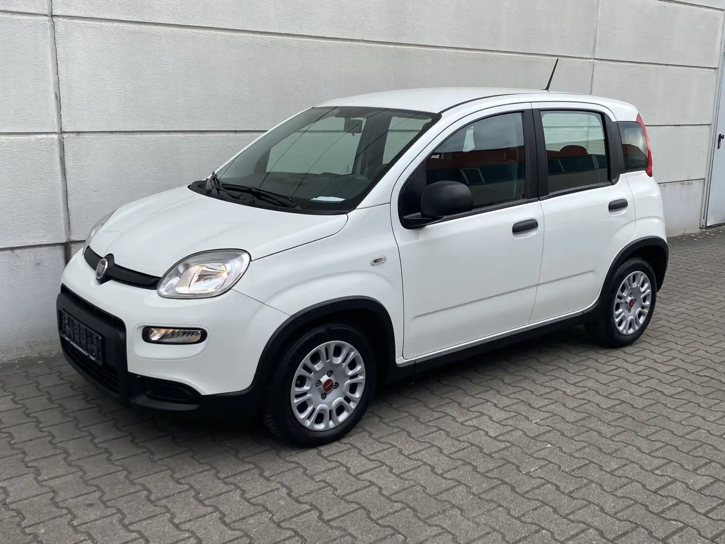 Fiat Panda 1.0 Mild Hybrid  Base Klima DAB Weiß - 2