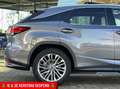 Lexus RX 450h AWD President Line Pano leder Navi Lmv Voll Grijs - thumbnail 14