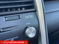 Lexus RX 450h AWD President Line Pano leder Navi Lmv Voll Grijs - thumbnail 50