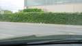 BMW X2 sDrive20i Advantage Schwarz - thumbnail 17