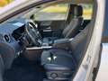 Mercedes-Benz B 220 d Progressive Automatik 360 Kamerasystem Blanco - thumbnail 7