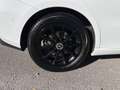 Mercedes-Benz B 220 d Progressive Automatik 360 Kamerasystem Blanco - thumbnail 15