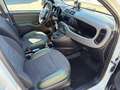 Fiat Panda TwinAir 85 4x4 Wild Weiß - thumbnail 12