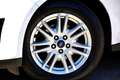Ford C-Max 1.6 TDCi 115CV TITANIUM **PREZZO VERO** Blanc - thumbnail 16