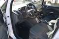 Ford C-Max 1.6 TDCi 115CV TITANIUM **PREZZO VERO** Blanc - thumbnail 5
