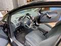 Ford Fiesta Fiesta  3-Türer 1.25 Titanium 8-Fach-Bereift Чёрный - thumbnail 8
