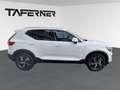 Volvo XC40 B3 Mild Hybrid Core Weiß - thumbnail 6