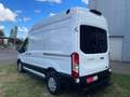 Ford Transit Kasten 350 L2 H3 Trend Weiß - thumbnail 8