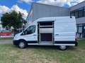 Ford Transit Kasten 350 L2 H3 Trend Weiß - thumbnail 10