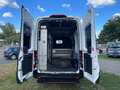 Ford Transit Kasten 350 L2 H3 Trend Weiß - thumbnail 7
