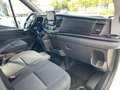 Ford Transit Kasten 350 L2 H3 Trend Weiß - thumbnail 13