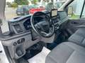 Ford Transit Kasten 350 L2 H3 Trend Weiß - thumbnail 11