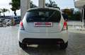 Lancia Ypsilon III 1.2 69Cv Elefantino Blu  - GPL/neopatentati Bianco - thumbnail 5