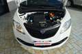 Lancia Ypsilon III 1.2 69Cv Elefantino Blu  - GPL/neopatentati Bianco - thumbnail 15