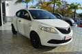 Lancia Ypsilon III 1.2 69Cv Elefantino Blu  - GPL/neopatentati Bianco - thumbnail 3