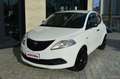 Lancia Ypsilon III 1.2 69Cv Elefantino Blu  - GPL/neopatentati Bianco - thumbnail 1