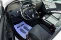 Lancia Ypsilon III 1.2 69Cv Elefantino Blu  - GPL/neopatentati Bianco - thumbnail 6