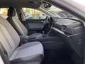 SEAT Leon Style 1.0 TSI 81 kW (110 PS) 6-Gang Weiß - thumbnail 13