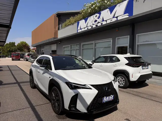 Lexus UX 200 250h 2.0 F Sport 2wd cvt #BI COLOR