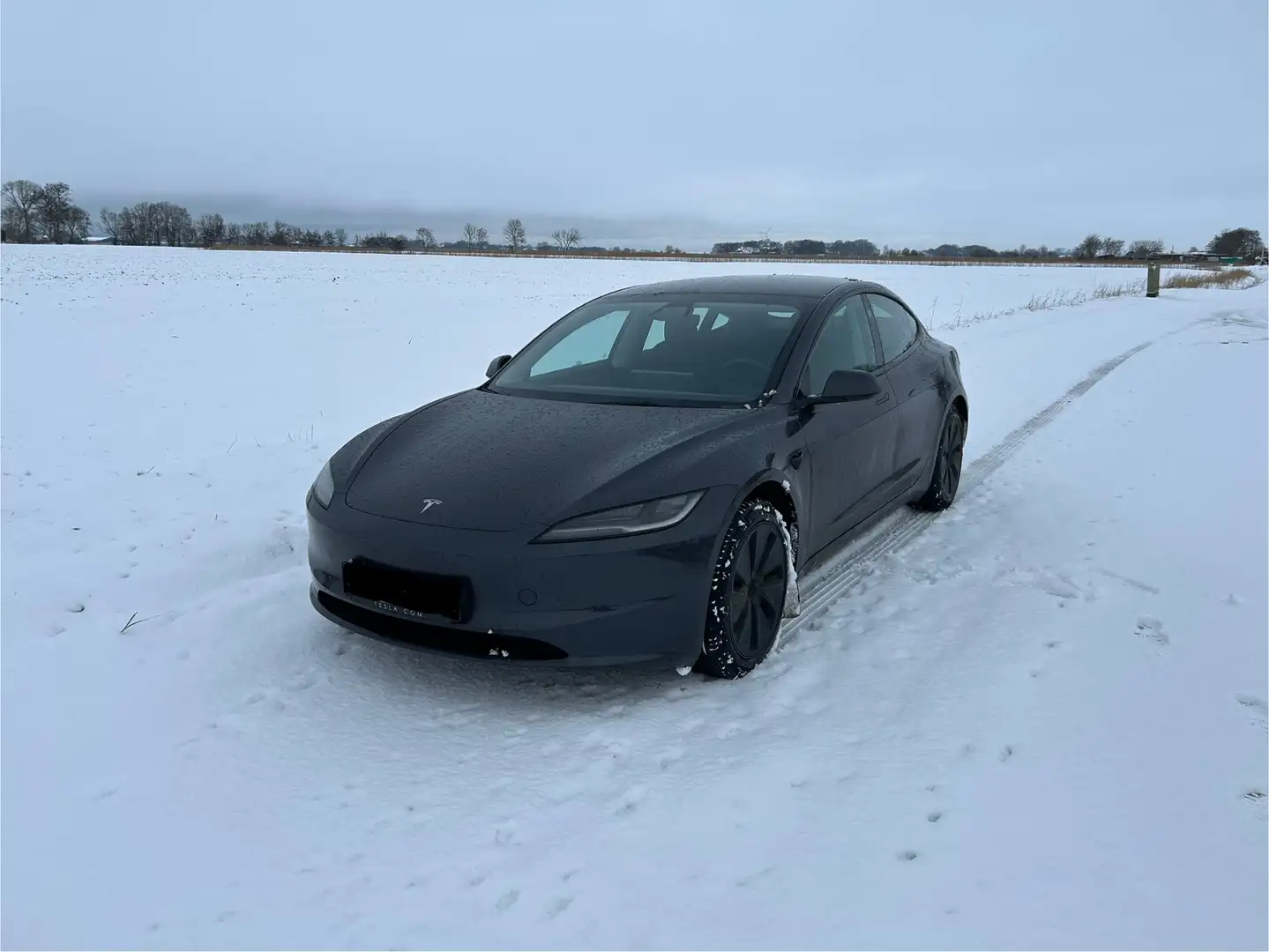 Tesla Model 3 Model 3 RWD Hinterradantrieb Grau - 2