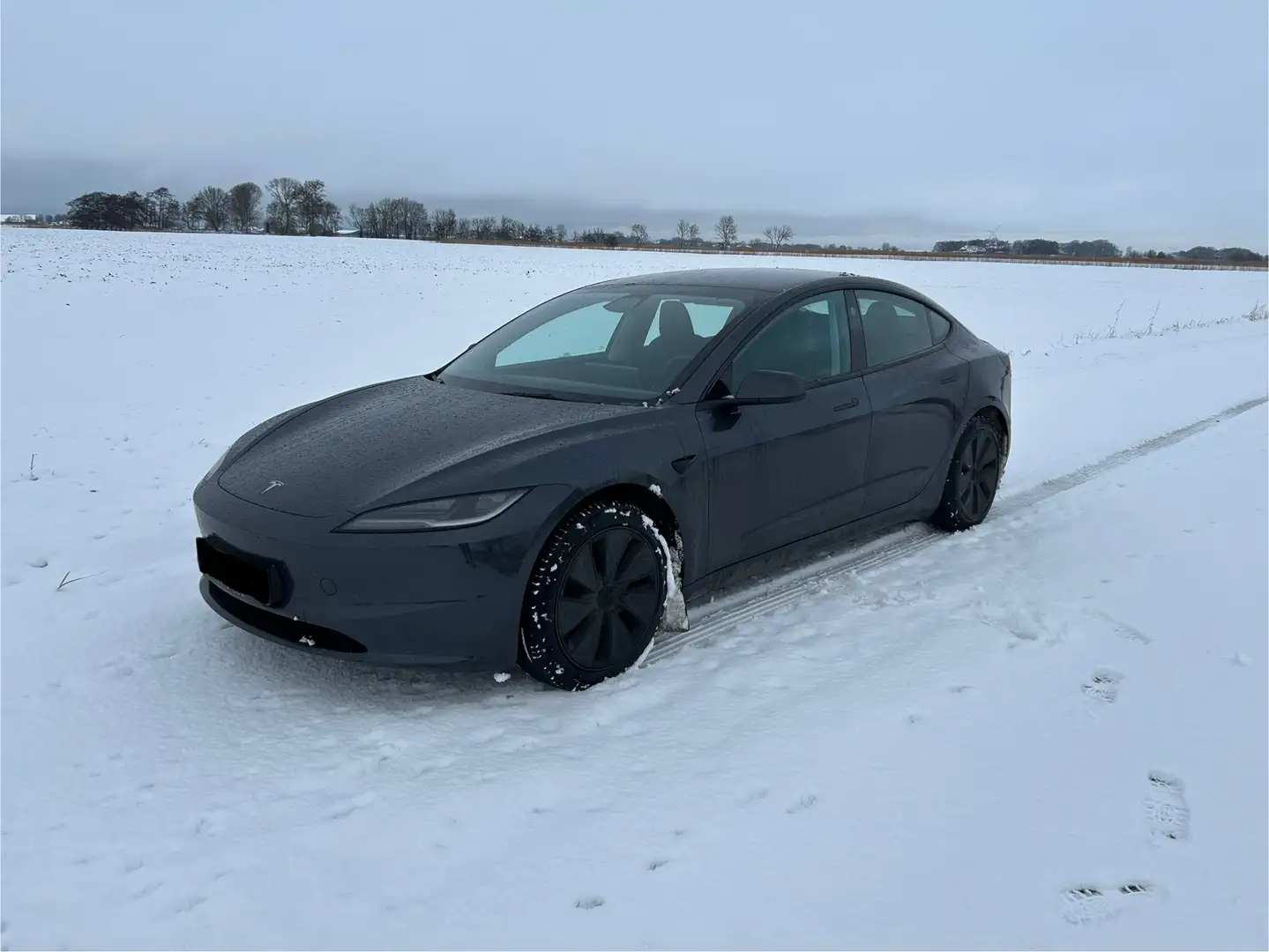 Tesla Model 3 Model 3 RWD Hinterradantrieb Grau - 1