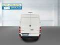 Mercedes-Benz Sprinter 313 CDI,L2H2,148.000km,Regale,1H,TÜV 5/27,Serv. Blanc - thumbnail 11