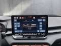CUPRA Terramar 1.5 e-TSI 150 PS DSG Grau - thumbnail 13