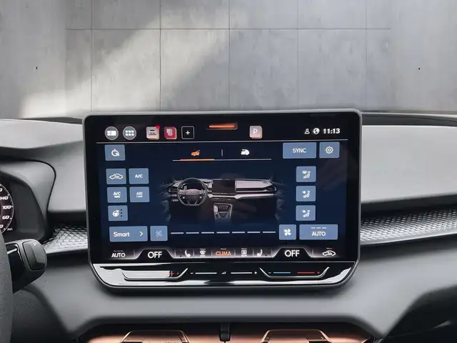 Cupra Terramar view 13
