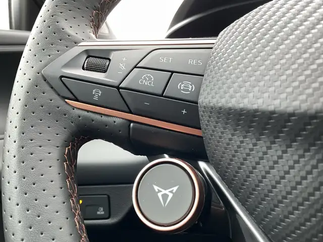Cupra Terramar view 11