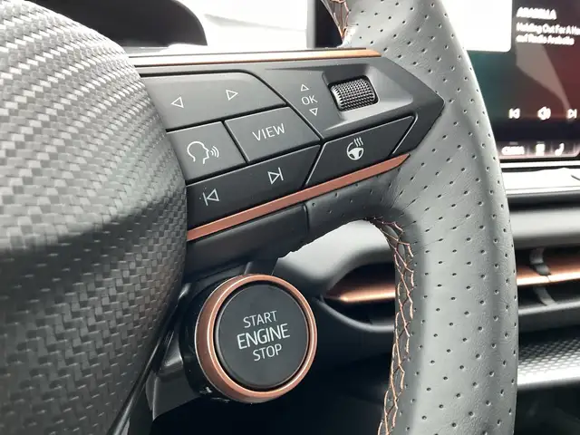 Cupra Terramar view 12