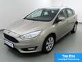 Ford Focus 1.0 EcoB Aut Trend Sicht/WinterPak Grigio - thumbnail 2