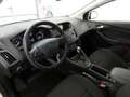 Ford Focus 1.0 EcoB Aut Trend Sicht/WinterPak Grigio - thumbnail 14