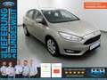 Ford Focus 1.0 EcoB Aut Trend Sicht/WinterPak Grigio - thumbnail 1