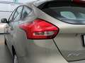 Ford Focus 1.0 EcoB Aut Trend Sicht/WinterPak Grigio - thumbnail 26