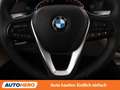 BMW 520 520d Mild-Hybrid xDrive Blau - thumbnail 19