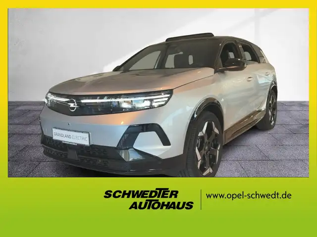 Opel Grandland Electric Ultimate 73KWh Navi Matrix LED