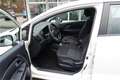 Kia Rio 1,2 MPI Titan Limited Weiß - thumbnail 7