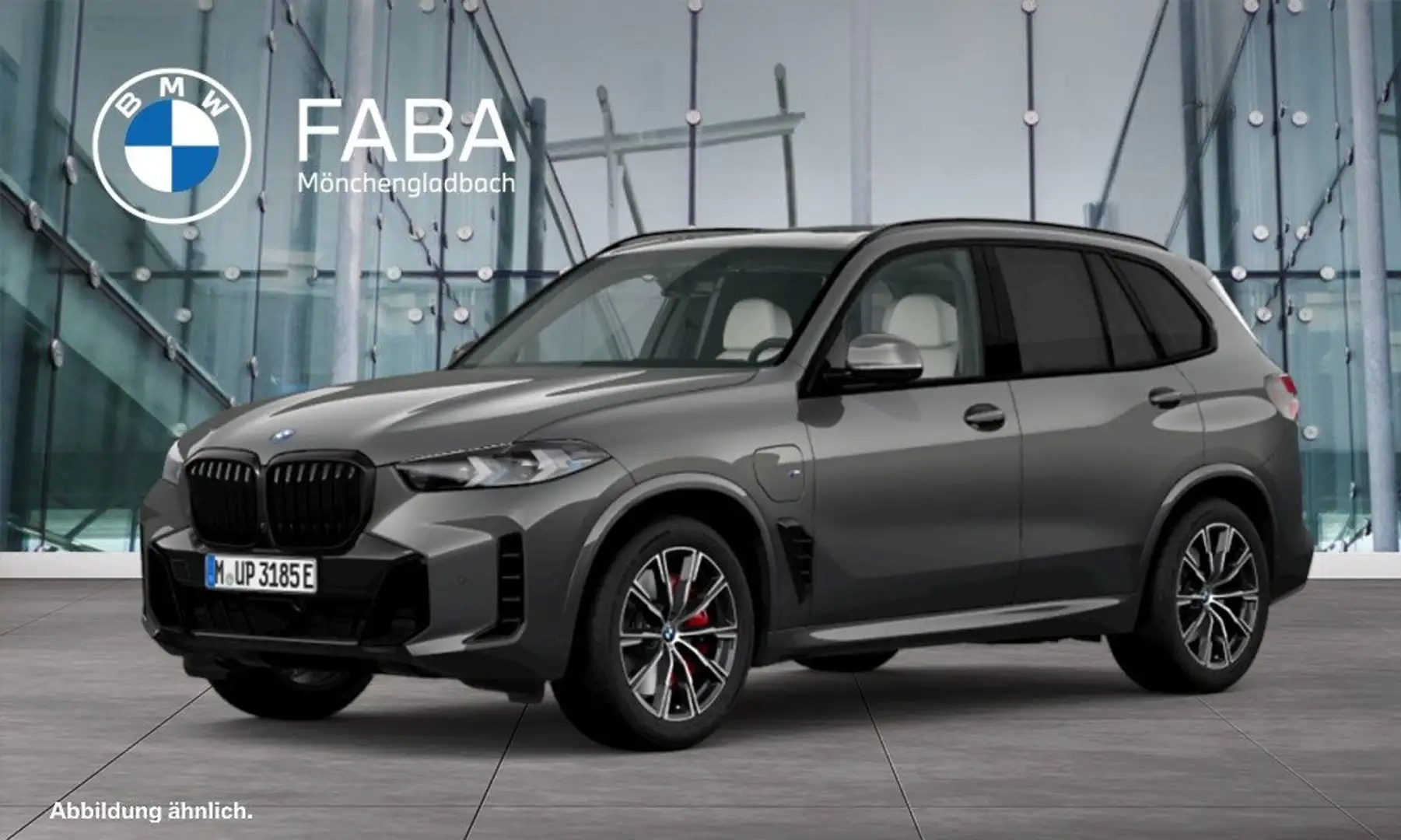 BMW X5 xDrive50e M Sportpaket Gestiksteuerung DAB Gris - 1