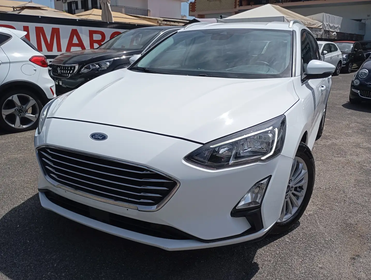 Ford Focus SW 1.5 EcoBlue 120CV Titanium Aut. Bianco - 1