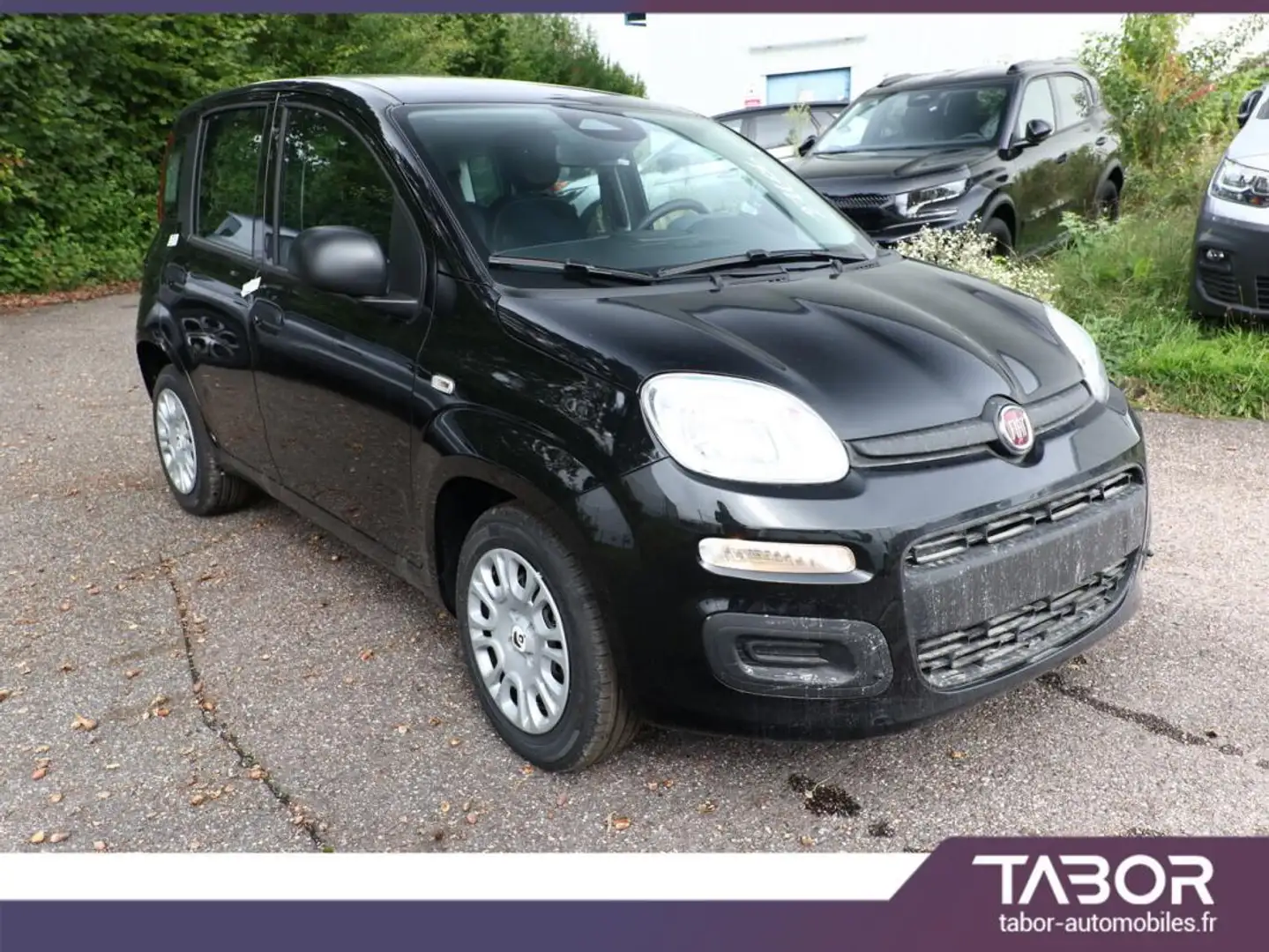 Fiat Panda 1.0 MHEV 70 5"-DAB PDC DigCo Noir - 2