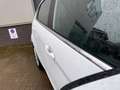 Ford Fiesta 1.25 Titanium/Airco/AUX/Elek-pakket/NAP Wit - thumbnail 9