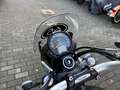 Triumph Scrambler 900 Vert - thumbnail 11