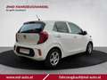 Kia Picanto 1.0 Titan 49 kW (67 PS), Schaltgetriebe, Fronta... Weiß - thumbnail 5