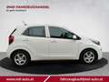 Kia Picanto 1.0 Titan 49 kW (67 PS), Schaltgetriebe, Fronta... Weiß - thumbnail 6
